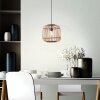 Brilliant NIKKA Pendant Light black, 1-light source