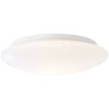 Brilliant FARLY outdoor ceiling light white, 1-light source