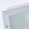 Brilliant FLOSSY recessed light silver, 1-light source