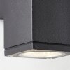 Brilliant HALLY Outdoor Wall Light anthracite, 2-light sources