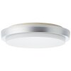 Brilliant DEVORA outdoor ceiling light LED silver, 1-light source
