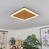 GUACACALLO Ceiling Light LED gold, black, white, 1-light source