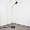 TANABITA Floor Lamp Ecru, black, 1-light source