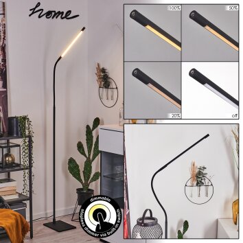 REULAND Floor Lamp LED black, 1-light source