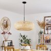 ALAVI Pendant Light black, 1-light source