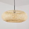 ALAVI Pendant Light black, 1-light source