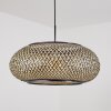 ALAVI Pendant Light black, 1-light source