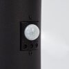 RUTI pedestal light black, 1-light source, Motion sensor