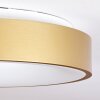 PLAYAS Ceiling Light LED gold, white, 1-light source
