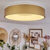 PLAYAS Ceiling Light LED gold, white, 1-light source
