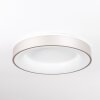 PLAYAS Ceiling Light LED silver, white, 1-light source
