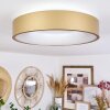 PLAYAS Ceiling Light LED gold, white, 1-light source