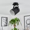 PUELCHES Ceiling Light black, 1-light source