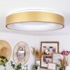 PLAYAS Ceiling Light LED gold, white, 1-light source