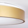 PLAYAS Ceiling Light LED gold, white, 1-light source