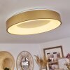 PLAYAS Ceiling Light LED gold, white, 1-light source