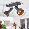 MUSKO Ceiling Light black, 2-light sources