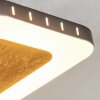 GUACACALLO Ceiling Light LED gold, black, white, 1-light source