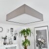 TABOGA Ceiling Light matt nickel, 4-light sources