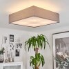 TABOGA Ceiling Light matt nickel, 4-light sources