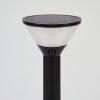JOENNIERNI path light LED black, 1-light source, Motion sensor, Colour changer