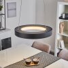 PLAYAS Pendant Light LED black, 1-light source