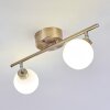 Motala Ceiling Light LED matt nickel, 2-light sources, Remote control, Colour changer
