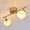 Motala Ceiling Light LED matt nickel, 2-light sources, Remote control, Colour changer