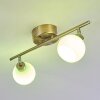 Motala Ceiling Light LED matt nickel, 2-light sources, Remote control, Colour changer