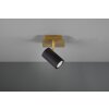 Trio MARLEY Wall Light black-gold, 1-light source