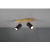 Trio MARLEY Ceiling Light black-gold, 2-light sources