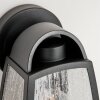 TROSA Outdoor Wall Light black, 1-light source