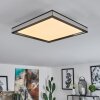 NABBAS Ceiling Light LED black, 1-light source