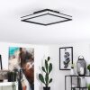 NABBAS Ceiling Light LED black, 1-light source