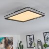 NABBAS Ceiling Light LED black, 1-light source