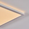 BOYERO Ceiling Light LED white, 1-light source