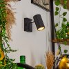 JAVEL Wall Light black, 1-light source