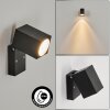 HOLISEVA Outdoor Wall Light LED black, 1-light source