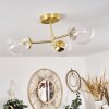 YUCAO Ceiling Light gold, 3-light sources