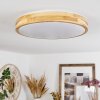 TIKKALA Ceiling Light LED Ecru, 1-light source
