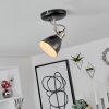 GRALINGEN Ceiling Light matt nickel, black, white, 1-light source