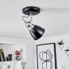 GRALINGEN Ceiling Light matt nickel, black, white, 1-light source