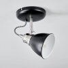 GRALINGEN Ceiling Light matt nickel, black, white, 1-light source