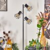 BARDHAMAN Floor Lamp black, 3-light sources