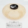 ALAVI Ceiling Light black, 1-light source