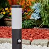 RUTI pedestal light black, 1-light source, Motion sensor