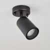 CORNEDA outdoor ceiling light black, 1-light source