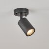 CORNEDA outdoor ceiling light black, 1-light source