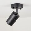 CORNEDA outdoor ceiling light black, 1-light source