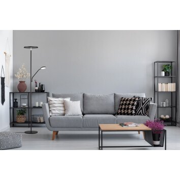 FHL easy FABI Floor Lamp LED black, 1-light source